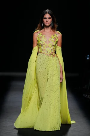Pleated Dress with Feathers and Cape
