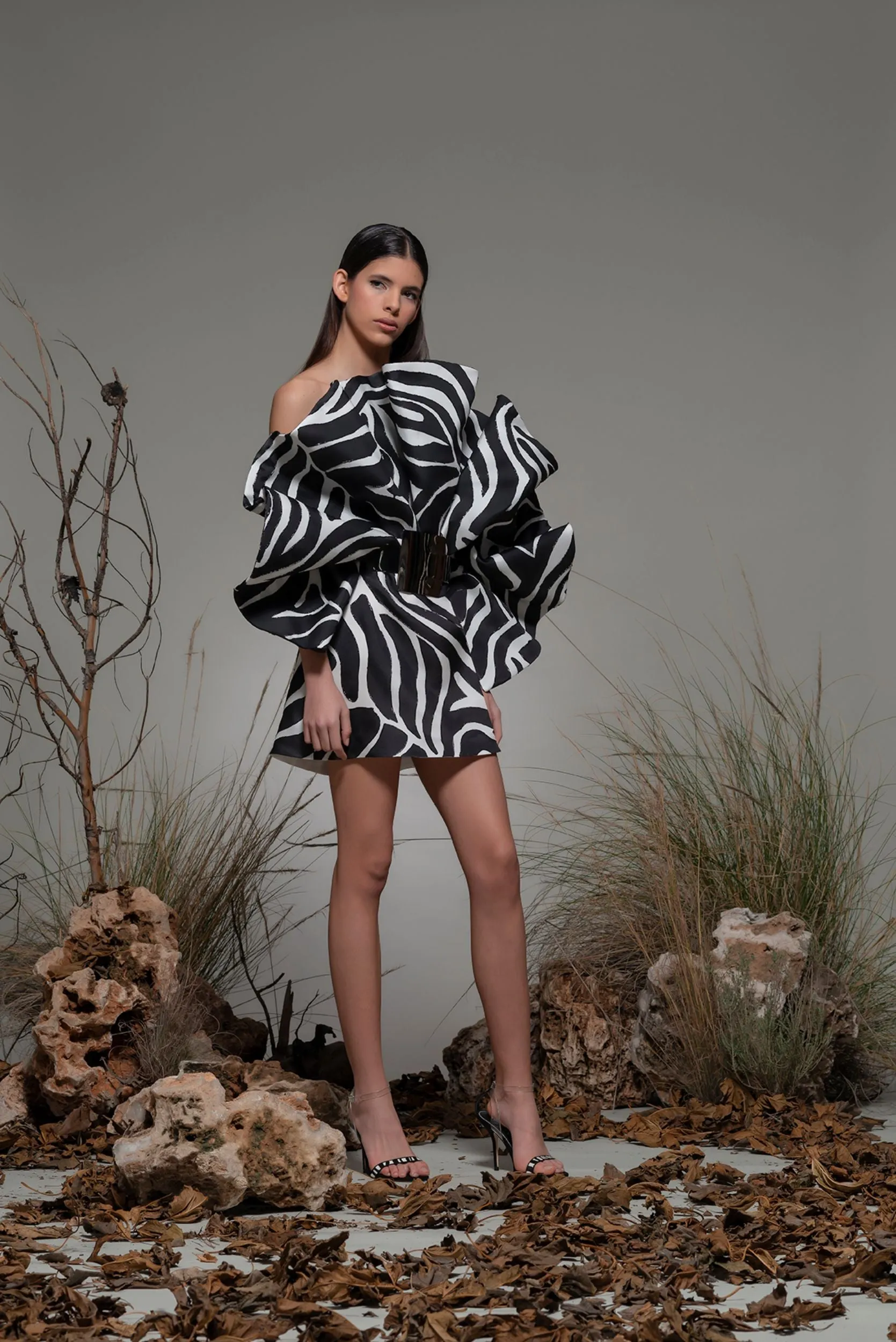 Printed Ruffled Mini Dress with Belt